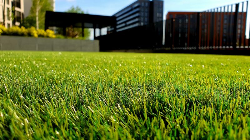 Professional landscaper mowing lawn