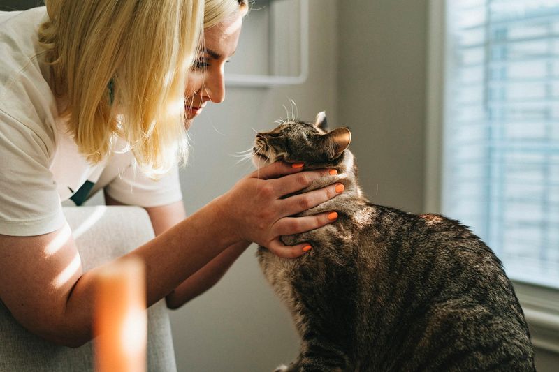 Professional pet sitter with cat and dog